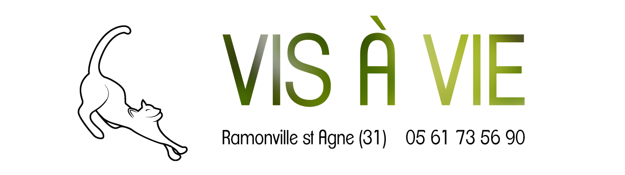 Association Vis-à-Vie – Ramonville St-Agne (31)
