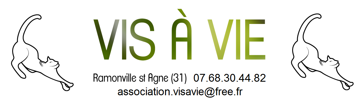 Association Vis-à-Vie – Ramonville St-Agne (31520)